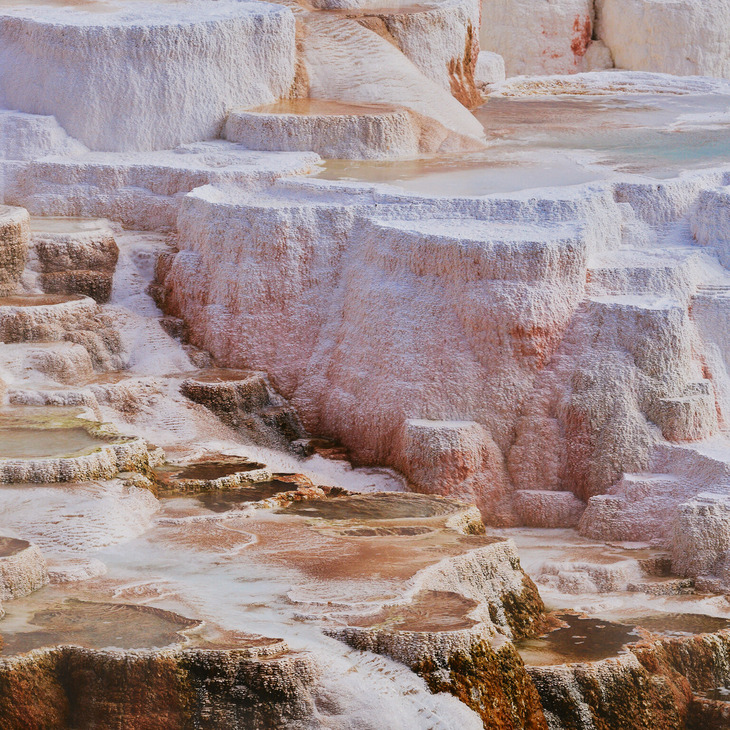 Zac Henderson Yellowstone