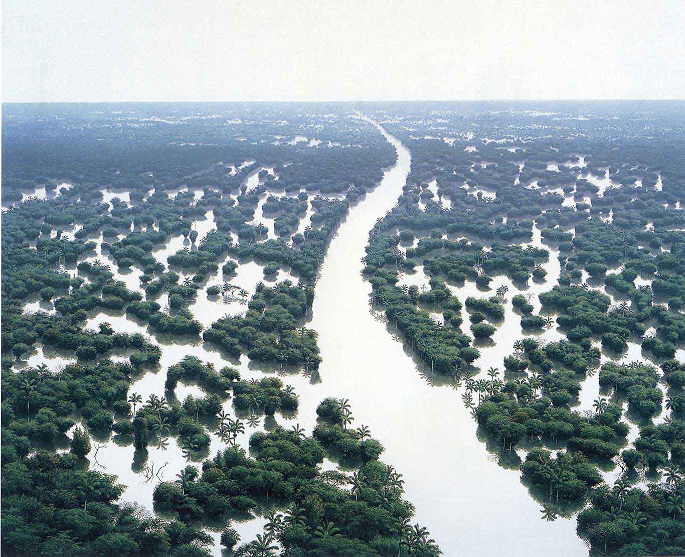 Tomás Sánchez Inundacion de Rio de Aguas Blancas, 1998