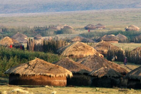 Maasai boma village in the savanna