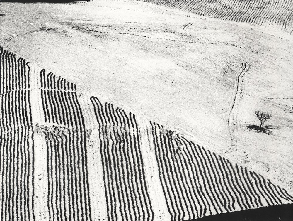 Giacomelli Metamorfosi Landscape