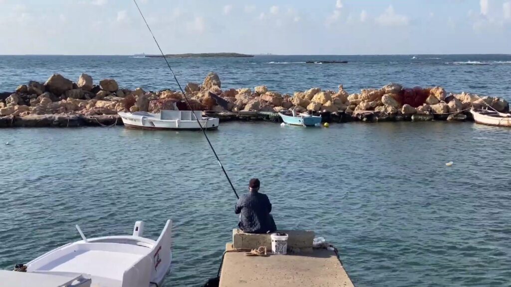 El baher malik