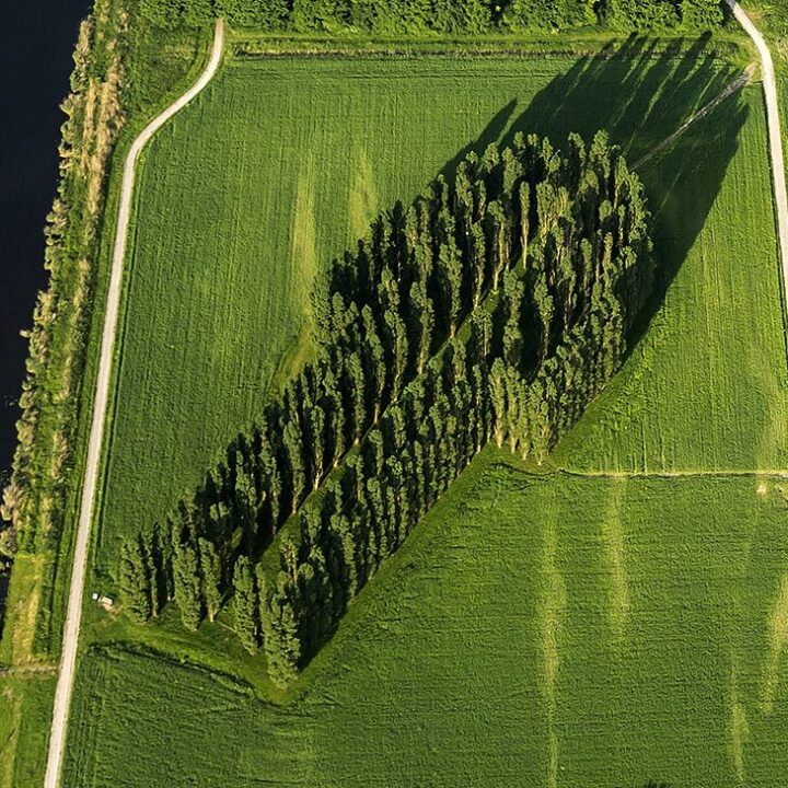 The Green Cathedral, Marinus Boezem