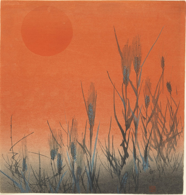 Barley at Sunrise